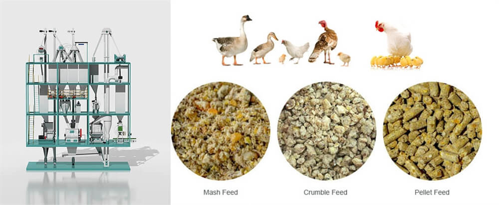 poultry_feed_pellet_machines