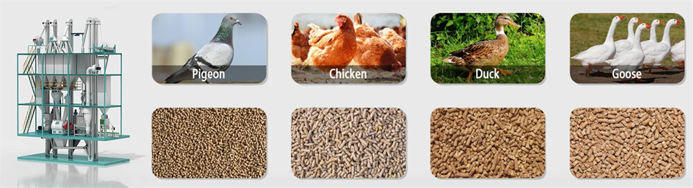 poultry_feed_pellet_machines_manufacturer