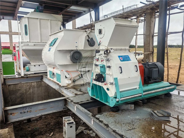 Starting_a_Cattle_Feed_Making_Factory_in_Ethiopia 1